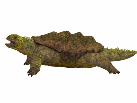 Proganochelys is the second oldest turtle species discovered and lived in Germany and Thailand in the Triassic Period.