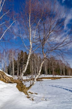 Early spring in Central Russia during the month of March