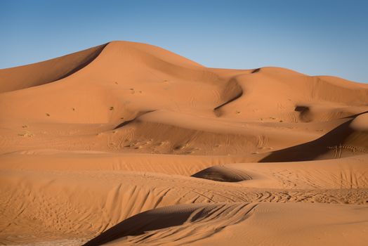 Sand dunes in the Sahara Desert, Erg Chebbi, Merzouga, Morocco