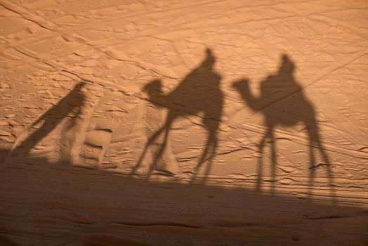 Camel shadows on Sahara Desert dunes, Erg Chebbi, Merozuga, Morocco