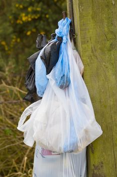 several plastic bags of rubbish hung on a wooden fence post
