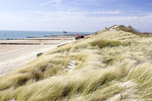 the dunes, Zoutelande, the Netherlands