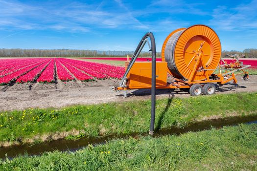 Agricultural spraying equipment pumping water from ditch to tulips flowers