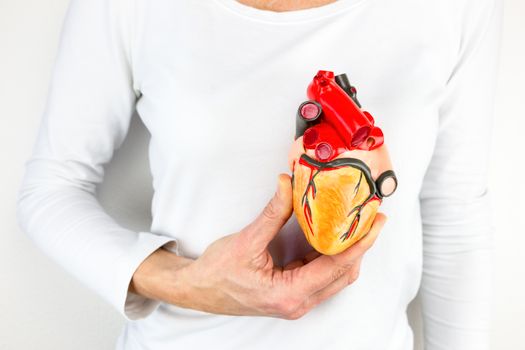 female hand holding human heart model in front of body