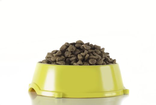 Dog food in yellow bowl, isolated on white studio background