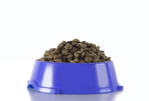 Dog food in dark blue bowl, isolated on white studio background