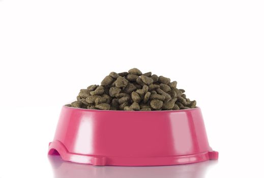 Dog food in pink bowl, white studio background
