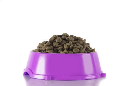Dog food in fuchsia bowl, isolated on white studio background