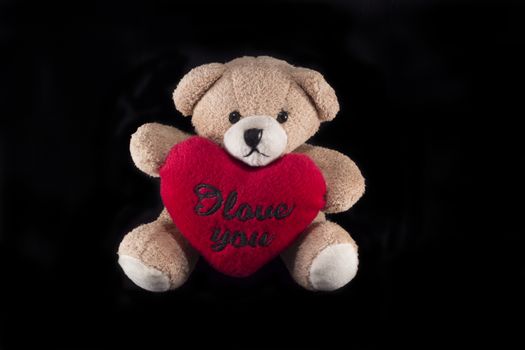 Teddy bear with red heart