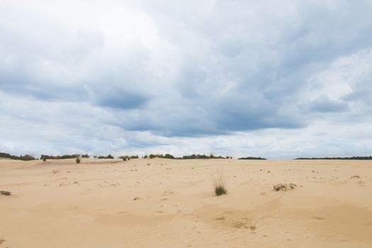 Cloudy blue sky above camel colored sand dunes