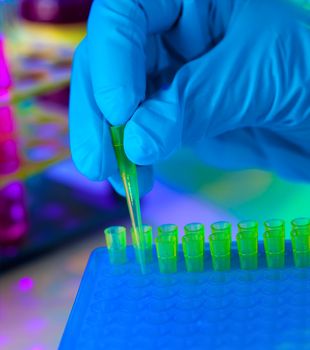 Tech fills in a plastic box with yellow tips for automatic pipette