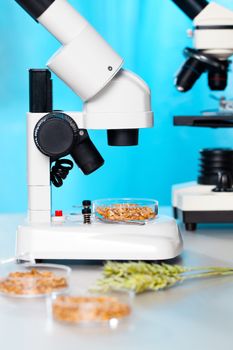 Microbiological Testing for Food Quality