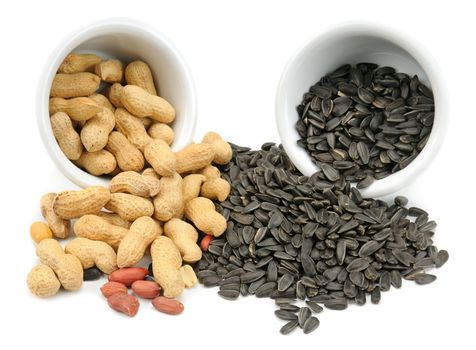 The fruits of peanuts and sunflower seeds isolated on white background