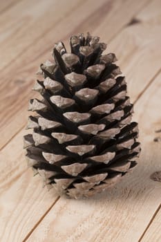 Close up of a pinecone on wooden background