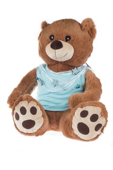 Teddy bear with blue shirt, isolated on white background