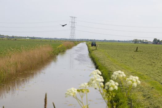 Grassland with tractor and ditch