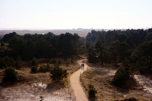 Dune Landscape in St. Peter-Ording in Germany