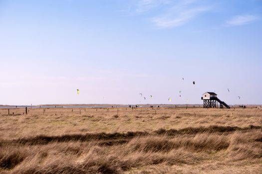 On the Beach of St. Peter-Ording in Germany