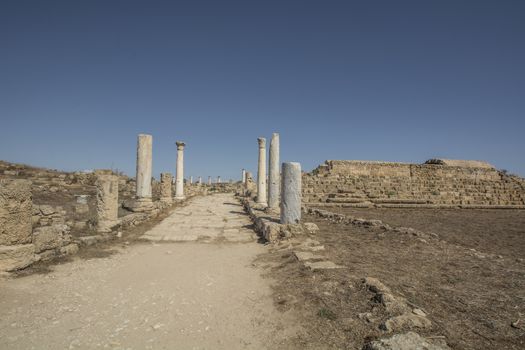 Salamis ruins.ancient Roman site in Cyprus