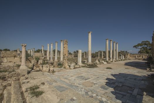 Salamis ruins.ancient Roman site in Northen Cyprus