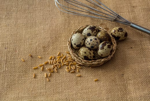 Quail eggs,wheat and eggbeater on grey background