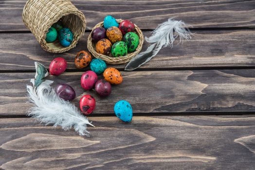 Quail Easter eggs composition on wooden background