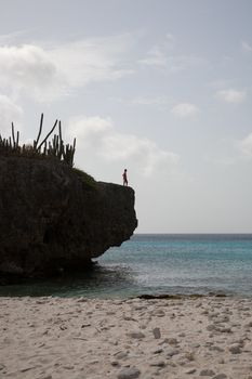 Bonaire caribbean island landscapes