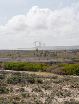 Bonaire caribbean island landscapes