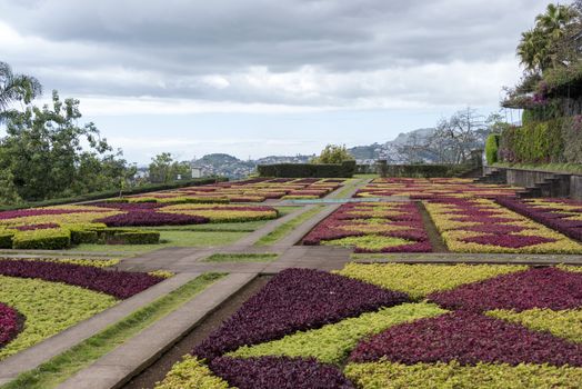 botanical garden in Funchal on the portuguese island of Madeira