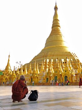 YANGON,MYANMAR-April 15 :Monk praying at the Shwedagon Payar on April 15,2013 in Yangon city,Myanmar. The most sacred buddhist temple in Myanmar