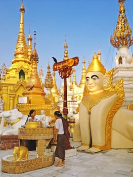Yangon, Myanmar - April 15: Buddhist bathing Buddha statue for blessings at Shwedagon Pagoda in Yangon, Myanmar (Burma).