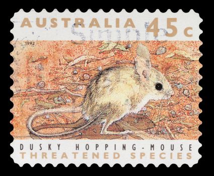 Stamp printed in the Australia shows Dusky Hopping Mouse, Notomys Fuscus, Rodent, circa 1992