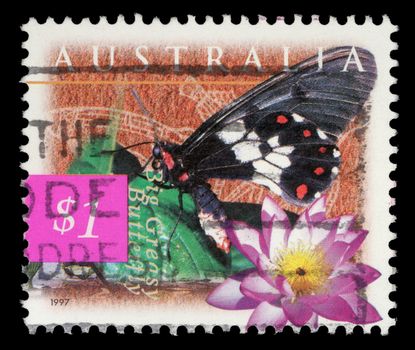 Stamp printed in Australia shows Big Greasy Butterfly and blue lily (Nymphaea violacea), circa 1997