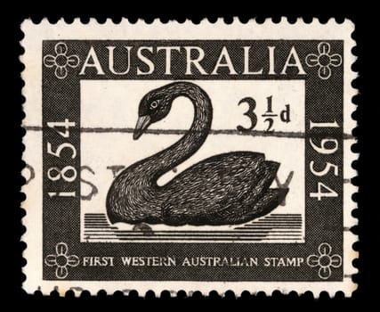 Stamp printed in AUSTRALIA shows the Swan, Western Australias first postage stamp centenary, circa 1954
