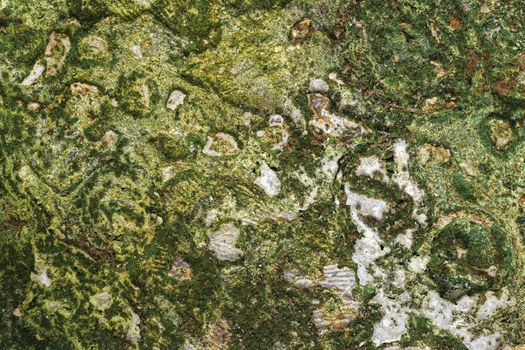 photo ancient masonry overgrown with moss. closeup
