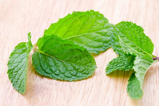 Pepper mint on a wooden background