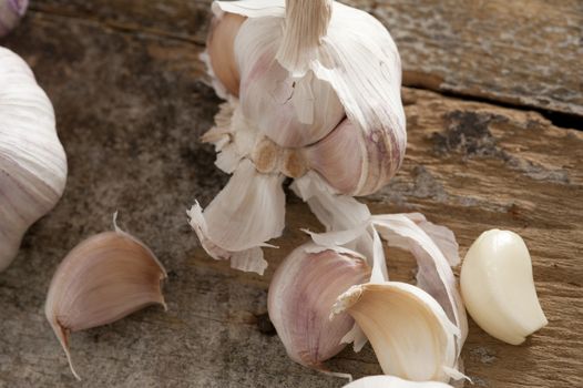 Fresh raw garlic cloves separated from the bulb with one peeled one amongst several with their skin on a rustic wooden table