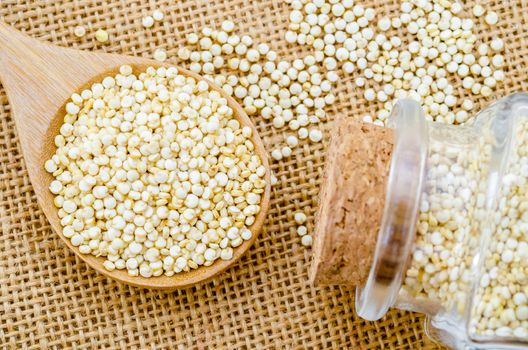 Quinoa seeds in wooden spoon on sack background.