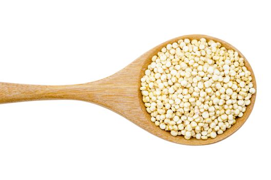 Raw white quinoa seeds in wooden spoon isolated on white background, Clpiing path.
