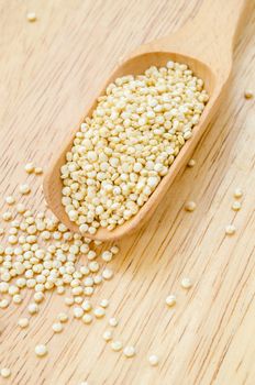 Healthy quinoa seeds, a high protein vegetable from South America in wooden spoon on wooden background.