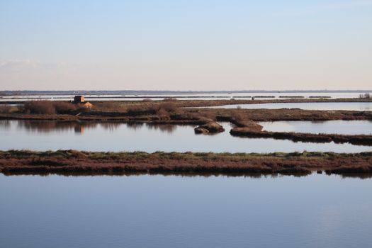 Landscape at sunset of the swamp - the lagoon in the natural reserve