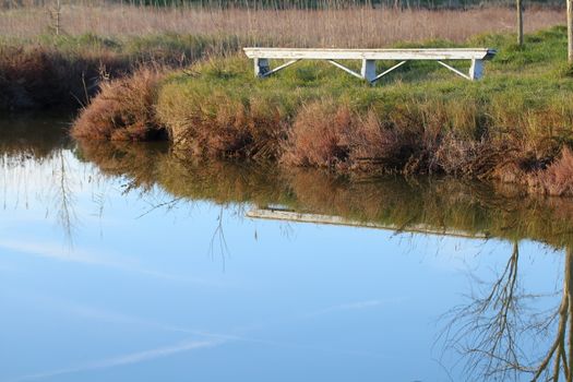 Landscape at sunset of the swamp - the lagoon in the natural reserve