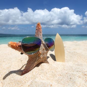 Starfish surfer on sand of tropical beach at Philippines