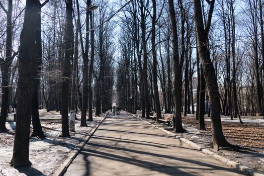 Park in the spring and puddles of melted snow Moscow 28.3.16