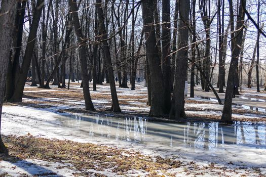 Park in the spring and puddles of melted snow Moscow 28.3.16