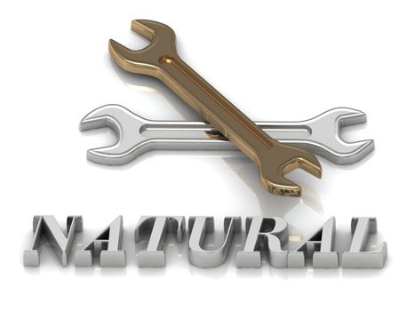 NATURAL- inscription of metal letters and 2 keys on white background