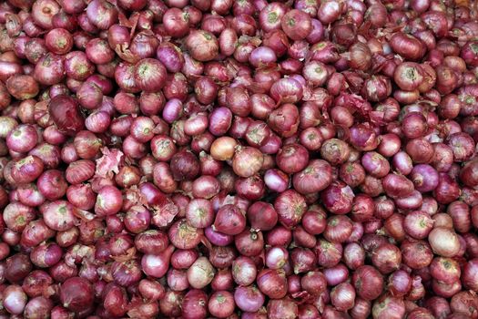 Fresh onion
