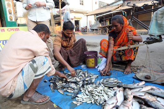 Fish market in Kumrokhali, West Bengal, India