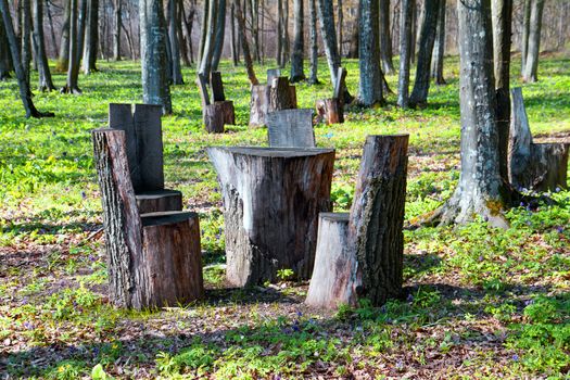 Table and chairs made of wood trunk stumps. Place for rest.