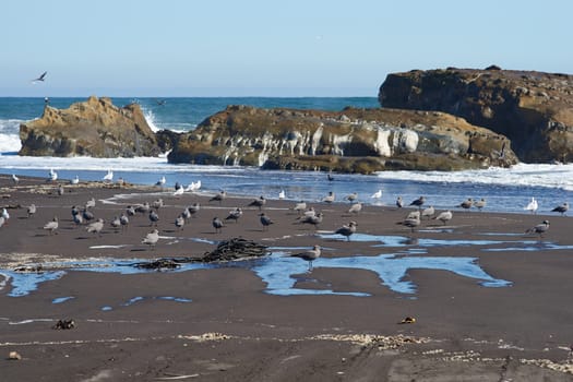 Waves coming ashore along the coast of of central Chile in the Maule Region.